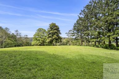 Residential Block For Sale - QLD - Montville - 4560 - Prime Montville Land: Your Dream Home or Accommodation Venue Awaits!  (Image 2)