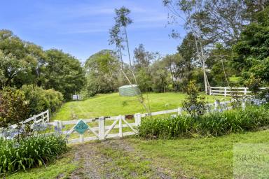 Residential Block For Sale - QLD - Montville - 4560 - Prime Montville Land: Your Dream Home or Accommodation Venue Awaits!  (Image 2)