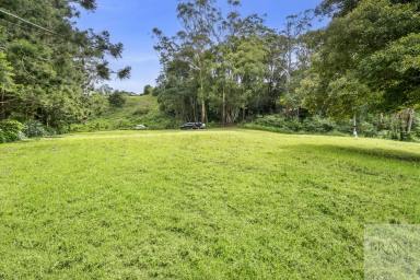Residential Block For Sale - QLD - Montville - 4560 - Prime Montville Land: Your Dream Home or Accommodation Venue Awaits!  (Image 2)