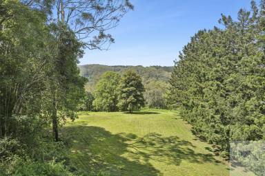 Residential Block For Sale - QLD - Montville - 4560 - Prime Montville Land: Your Dream Home or Accommodation Venue Awaits!  (Image 2)