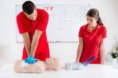 Business For Sale - QLD - Brisbane - 4000 - First Aid and CPR Training Opportunity Ready to Relaunch!  (Image 2)