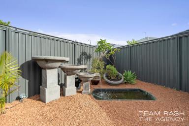 House For Sale - WA - Seville Grove - 6112 - Modern Family Living Meets Outdoor Luxury  (Image 2)