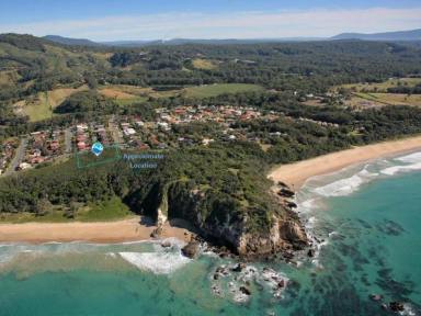 House For Sale - NSW - Sapphire Beach - 2450 - Stunning Prime Headland Position  (Image 2)