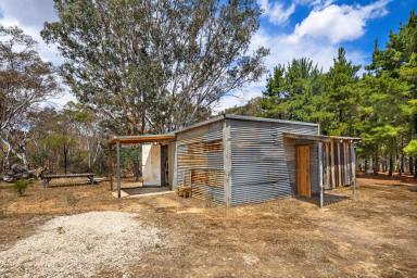 Residential Block Sold - VIC - Moonambel - 3478 - 8.073HA (19.95 acres) Enormous Appeal With Your Own Established Boutique Vineyard  (Image 2)