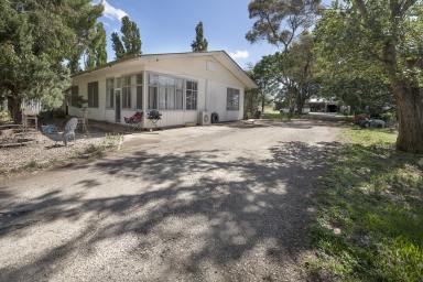 Farmlet For Sale - VIC - Tyntynder - 3586 - Country Lifestyle Close To Town  (Image 2)