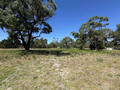 Residential Block For Sale - SA - Naracoorte - 5271 - 2.42 Acres, Rural Living Allotment  (Image 2)