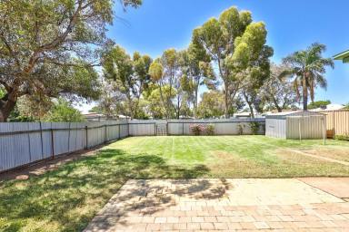 House For Sale - VIC - Mildura - 3500 - THIS IS LIVIN BARRY  (Image 2)