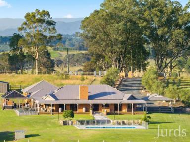 Lifestyle For Sale - NSW - Pokolbin - 2320 - Traditional Australian Farmhouse - Hunter Valley Wine Country  (Image 2)