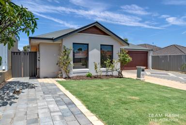 House For Sale - WA - Wellard - 6170 - Modern Comfort and Convenient Living – 16 Halstead Turn, Wellard WA 6170  (Image 2)