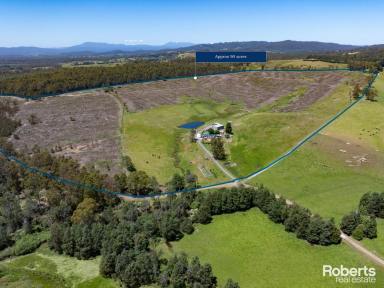 Acreage/Semi-rural For Sale - TAS - Glengarry - 7275 - Family Home on 90 acres  (Image 2)