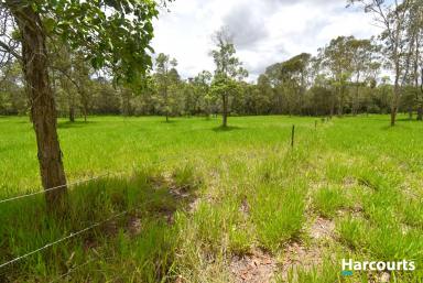 Lifestyle For Sale - QLD - Dalysford - 4671 - 35 Acres of Rural Living!!  (Image 2)