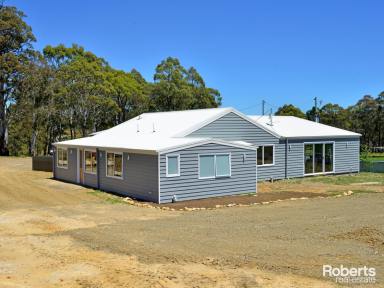 House For Sale - TAS - Bothwell - 7030 - Spacious 150-Acre Property with Renovated Home, Wildlife, and Farming Potential  (Image 2)