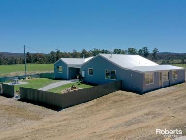 House For Sale - TAS - Bothwell - 7030 - Spacious 500-Acre Property with Renovated Home, Wildlife, and Farming Potential  (Image 2)