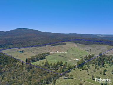 House For Sale - TAS - Bothwell - 7030 - Spacious 150-Acre Property with Renovated Home, Wildlife, and Farming Potential  (Image 2)