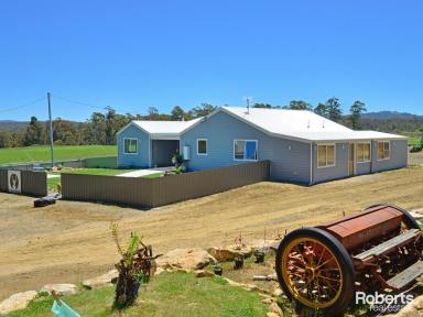 House For Sale - TAS - Bothwell - 7030 - Spacious 500-Acre Property with Renovated Home, Wildlife, and Farming Potential  (Image 2)