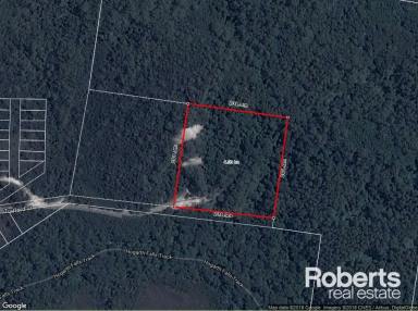 Residential Block For Sale - TAS - Strahan - 7468 - Escape to Nature Opportunity  (Image 2)