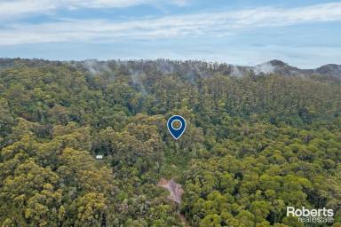 Residential Block For Sale - TAS - Strahan - 7468 - Escape to Nature Opportunity  (Image 2)