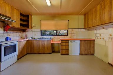 House For Sale - TAS - Rosebery - 7470 - Renovator's Delight in Prime Rosebery Location  (Image 2)