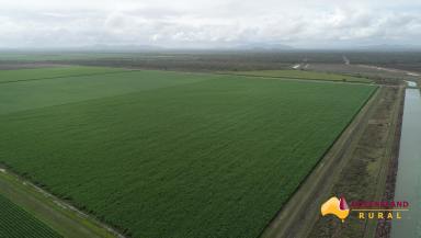 Cropping For Sale - QLD - Upper Haughton - 4809 - Highly Sought After Sugar Cane Farm  (Image 2)