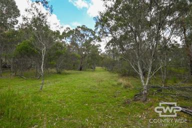 Lifestyle For Sale - NSW - Torrington - 2371 - Gateway to Nature and Endless Possibilities  (Image 2)