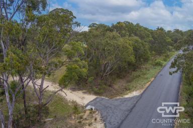 Lifestyle For Sale - NSW - Torrington - 2371 - Gateway to Nature and Endless Possibilities  (Image 2)