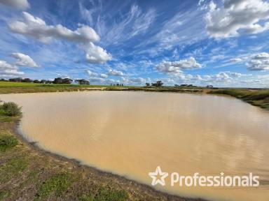 Cropping For Sale - WA - Wagin - 6315 - "Kershaw's Block Wagin" 680 Acres Approximately  (Image 2)