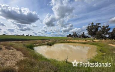 Cropping For Sale - WA - Wagin - 6315 - "Kershaw's Block Wagin" 680 Acres Approximately  (Image 2)