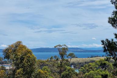 Residential Block For Sale - TAS - Murdunna - 7178 - Retreat to Sommers Bay and enjoy the Reef View  (Image 2)