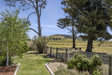 Mixed Farming For Sale - VIC - Mount Cameron - 3370 - LIFESTYLE FARMING PROPERTY - BERWICK ESTATE  (Image 2)