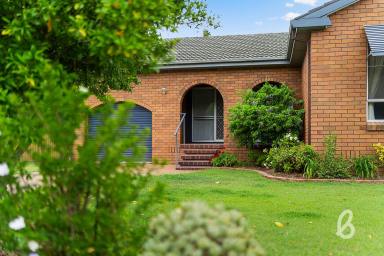 House Sold - NSW - Singleton - 2330 - Hidden Gem  (Image 2)