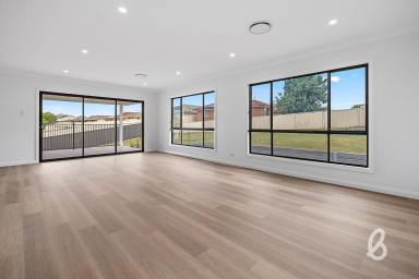 House For Sale - NSW - Singleton - 2330 - Brand New Modern Family Home  (Image 2)