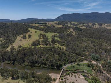 Residential Block For Sale - NSW - Burragate - 2550 - 100 ACRES WITH PRISTINE RIVER FRONTAGE  (Image 2)