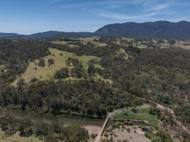 Residential Block Sold - NSW - Burragate - 2550 - 100 ACRES WITH PRISTINE RIVER FRONTAGE  (Image 2)
