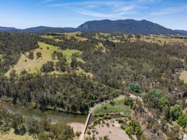 Residential Block For Sale - NSW - Burragate - 2550 - 100 ACRES WITH PRISTINE RIVER FRONTAGE  (Image 2)