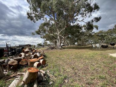 Lifestyle For Sale - NSW - Windellama - 2580 - A Beautiful 40 Acre Property, Dwelling Entitlement, Creek, Cul-De-Sac, Dual Road Frontage, Sheds, Container Home, Solar, Grazing, Hobby Farm.  (Image 2)