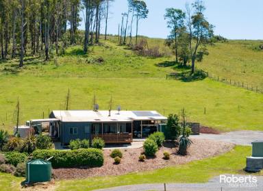 House For Sale - TAS - Winkleigh - 7275 - On Top of the Hill!  (Image 2)