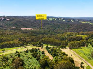 Lifestyle For Sale - VIC - Yuulong - 3237 - 223.90 HA (553.27 Acres) - Former Bluegum Forestry Plantation - Selling Post Harvest  (Image 2)