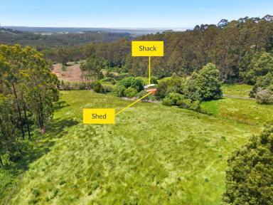 Lifestyle For Sale - VIC - Yuulong - 3237 - 223.90 HA (553.27 Acres) - Former Bluegum Forestry Plantation - Selling Post Harvest  (Image 2)