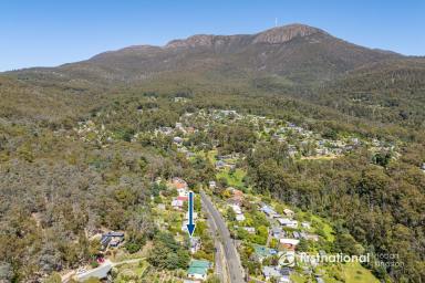 House For Sale - TAS - South Hobart - 7004 - Where the Mountain Meets the City  (Image 2)