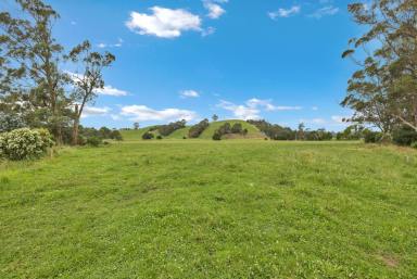 Cropping For Sale - VIC - Hallora - 3818 - TURN OUT PADDOCK  (Image 2)