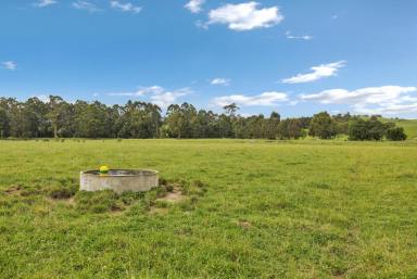 Cropping For Sale - VIC - Hallora - 3818 - TURN OUT PADDOCK  (Image 2)