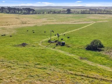 Mixed Farming For Sale - VIC - Mount Richmond - 3305 - Farm, Build Or Both!  (Image 2)