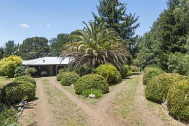 House For Sale - VIC - Strathbogie - 3666 - Private 5.4-Acre Property with Family Home, Two Titles, Workshop & Natural Water Supply.  (Image 2)