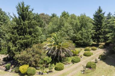 House For Sale - VIC - Strathbogie - 3666 - Private 5.4-Acre Property with Family Home, Two Titles, Workshop & Natural Water Supply.  (Image 2)