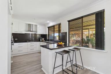 House Sold - WA - Swan View - 6056 - Refreshed And Ready To Go!  (Image 2)