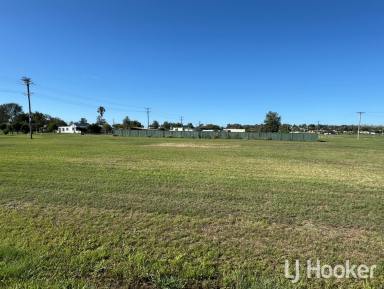 Residential Block For Sale - NSW - Ashford - 2361 - Opportunities Await!  (Image 2)