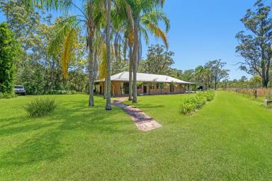 House For Sale - NSW - Limeburners Creek - 2324 - Nature on your doorstep!  (Image 2)