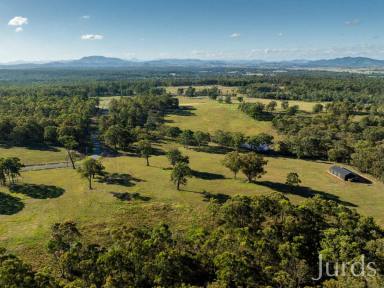Lifestyle For Sale - NSW - Sedgefield - 2330 - Wisemans Way - LAND NOW REGISTERED  (Image 2)
