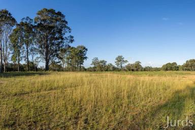 Lifestyle For Sale - NSW - Sedgefield - 2330 - Wisemans Way - START BUILDING NOW!  (Image 2)