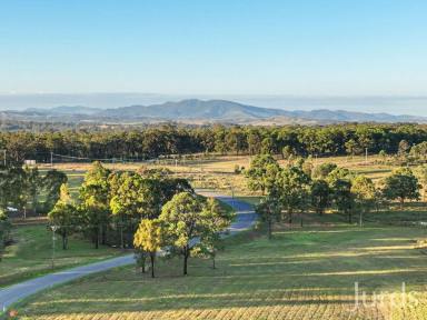 Lifestyle For Sale - NSW - Sedgefield - 2330 - Registered 5-10 Acre Lifestyle Blocks | Build Your Dream in the Hunter Valley  (Image 2)